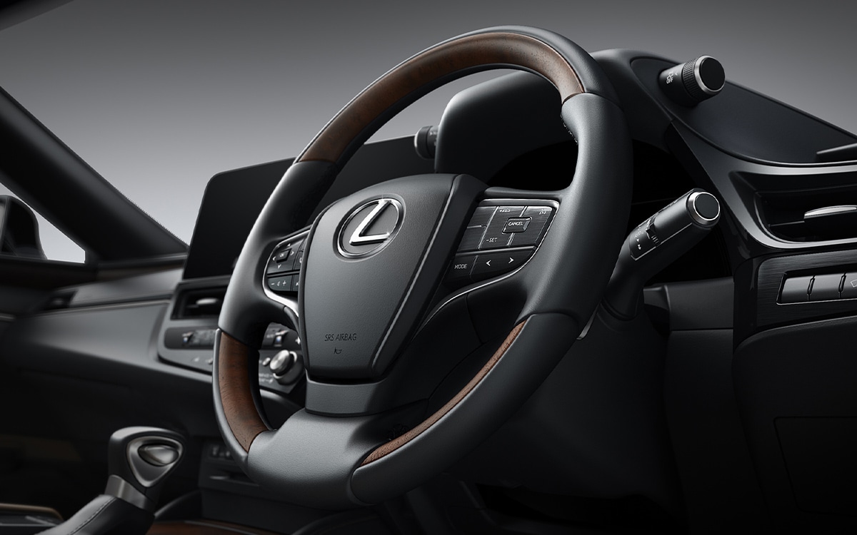 TRỢ LÁI KHẨN CẤP