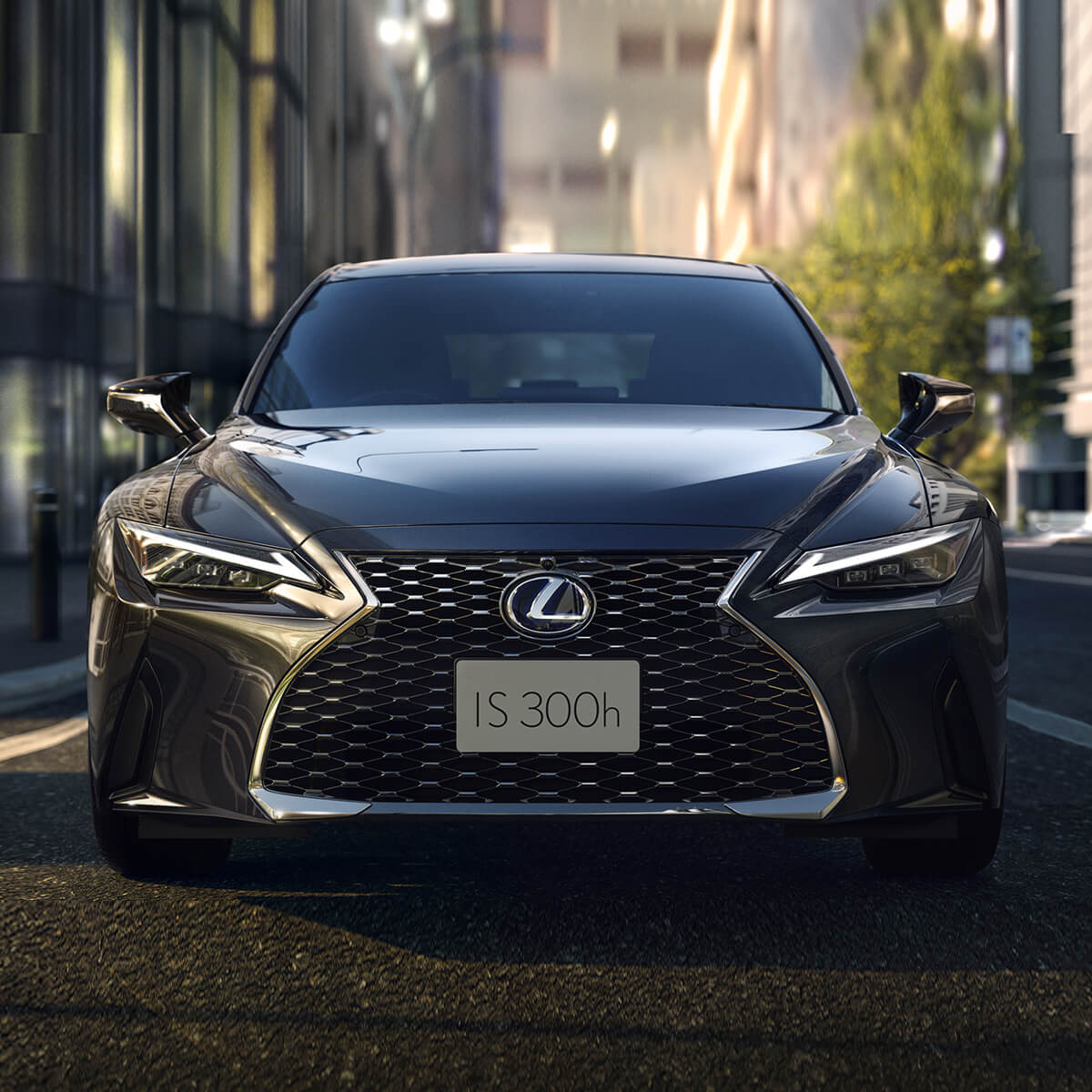 Lx 300h online