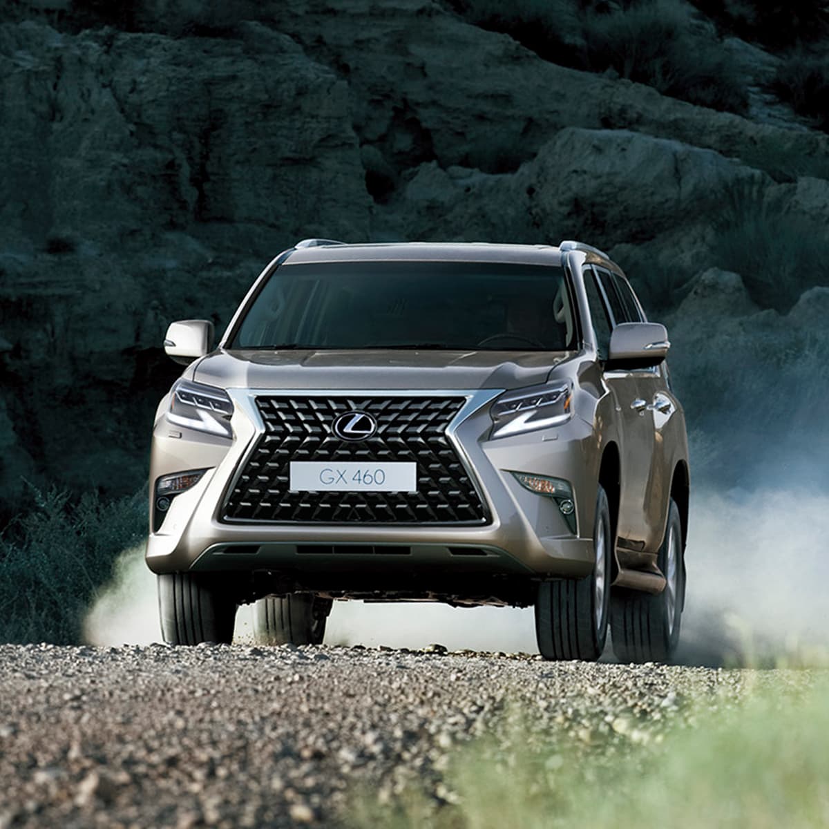 Cập nhật hơn 59 về xe lexus gx 460 cdgdbentre.edu.vn