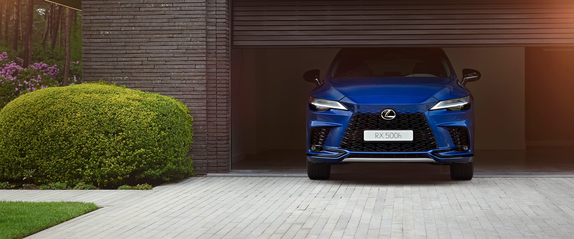 Lexus Test Drive