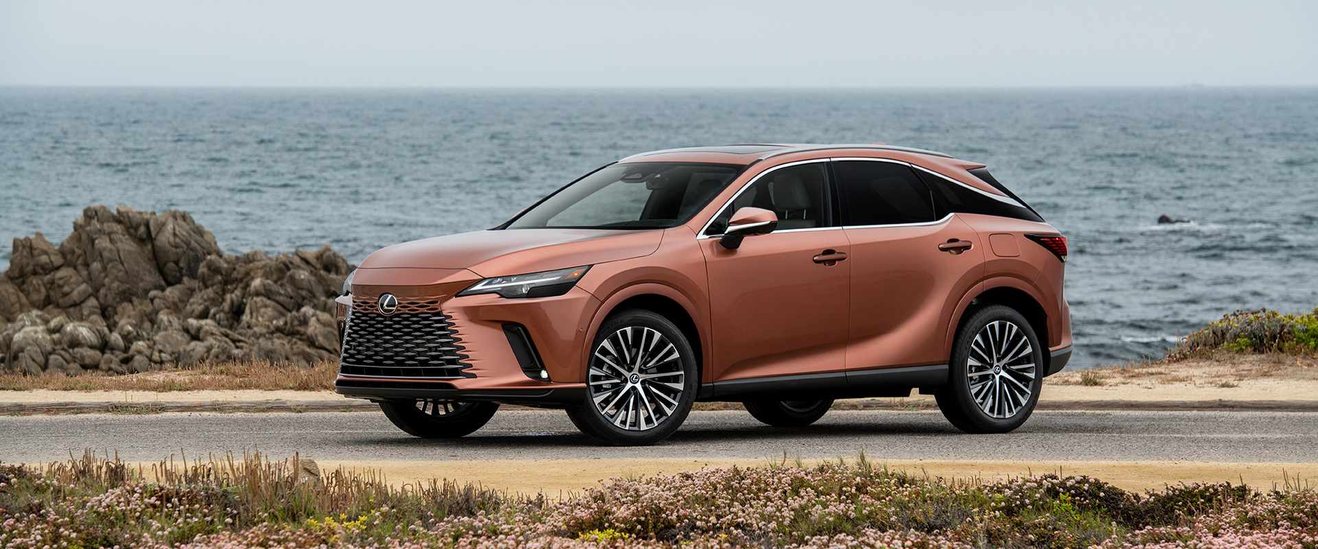 Đánh giá Lexus RX350 2020 Gà đẻ trứng vàng của Lexus #19 Đánh giá Lexus RX350 2020 Gà đẻ trứng vàng của Lexus