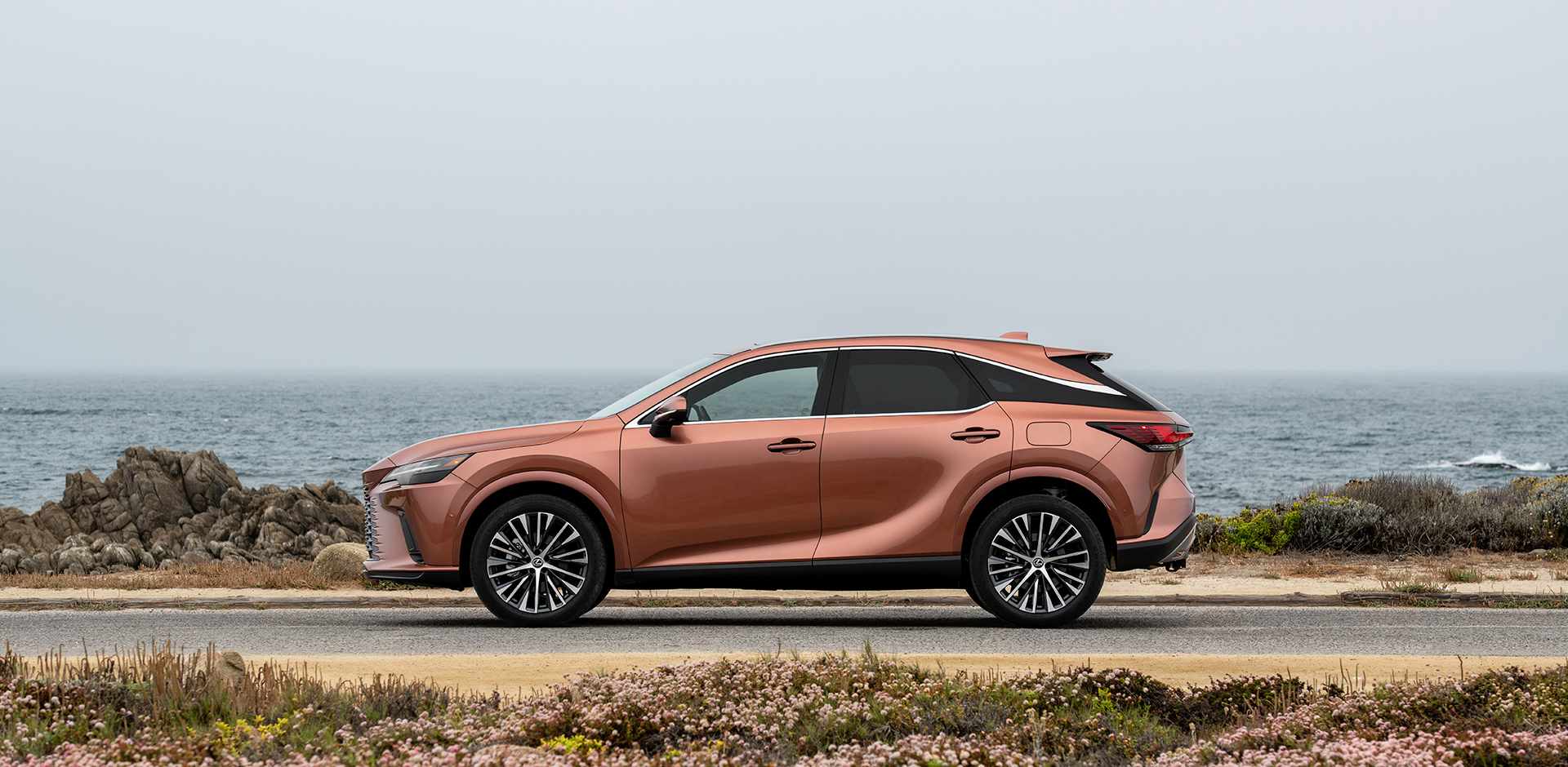 Lexus RX 2025: Giá lăn bánh RX350, RX 500h tháng 6/2025